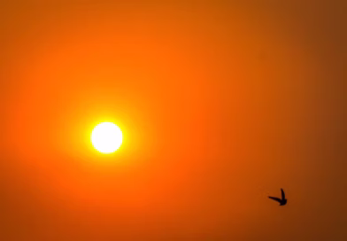 NOVO VERANICO COMEÇA HOJE, COM CALOR DE ATÉ 42°C NO CENTRO-OESTE, NORTE E NORDESTE; VEJA PREVISÃO